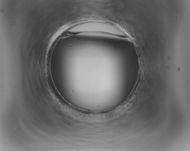 X0000080160008200612221237