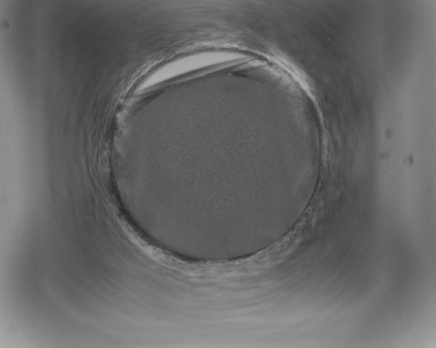 X0000080160009200612221237