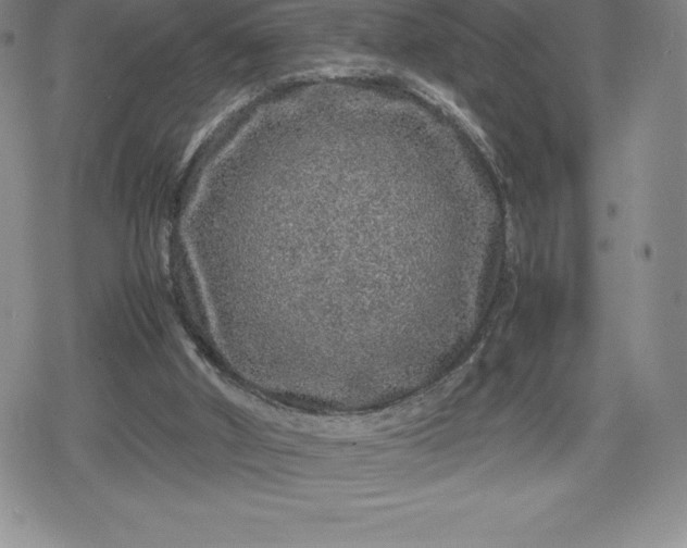 X0000080160010200612221237