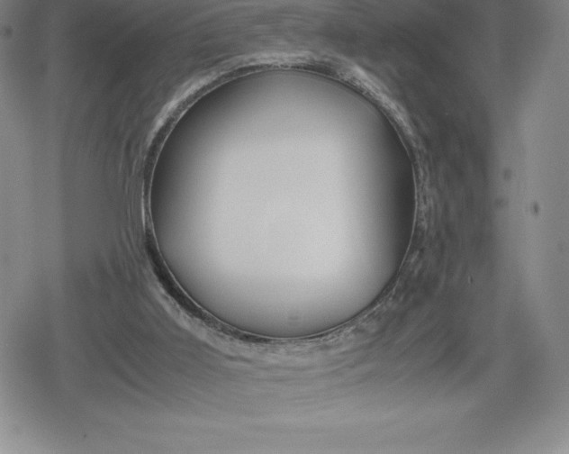 X0000080160011200612221237