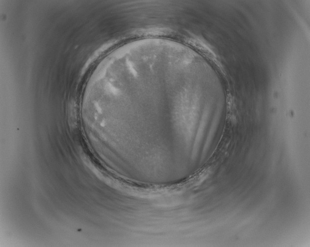 X0000080160012200612221237