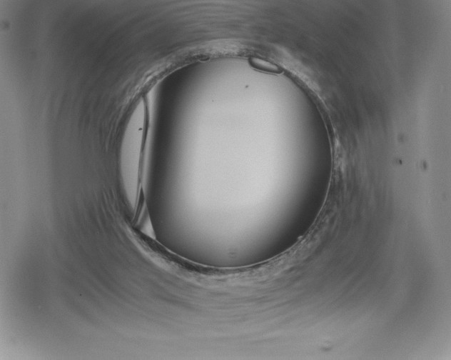 X0000080160013200612221237