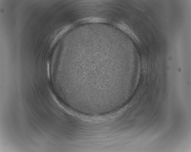 X0000080160014200612221237