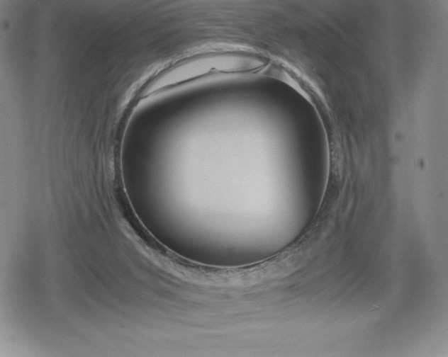 X0000080160015200612221237