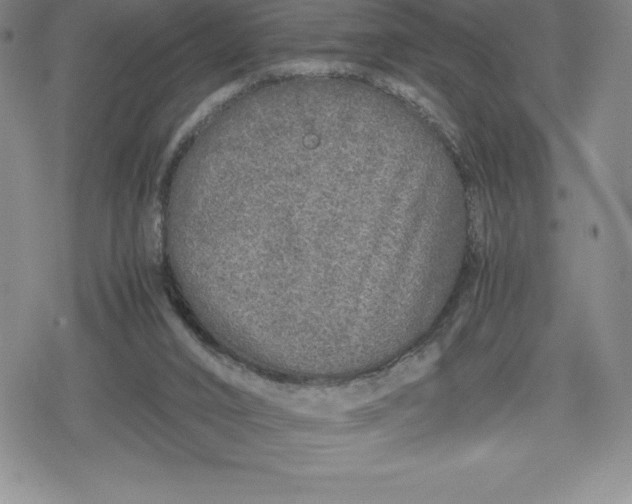 X0000080160016200612221237