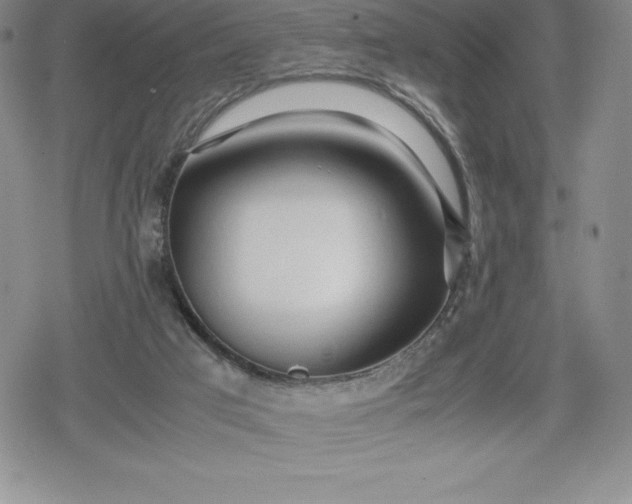 X0000080160017200612221237