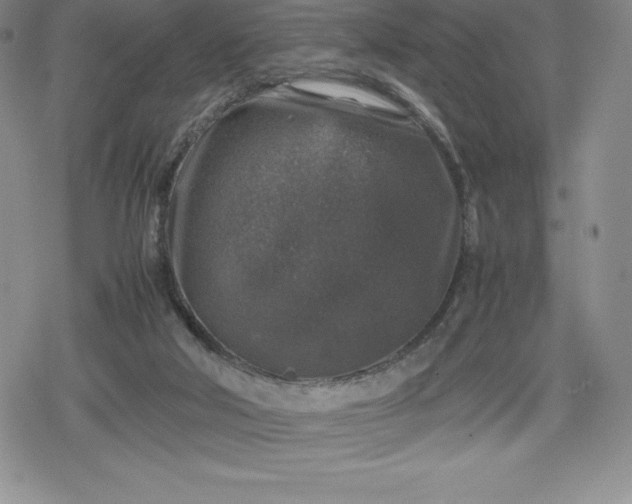 X0000080160018200612221237