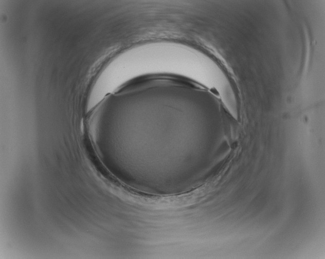 X0000080160019200612221237