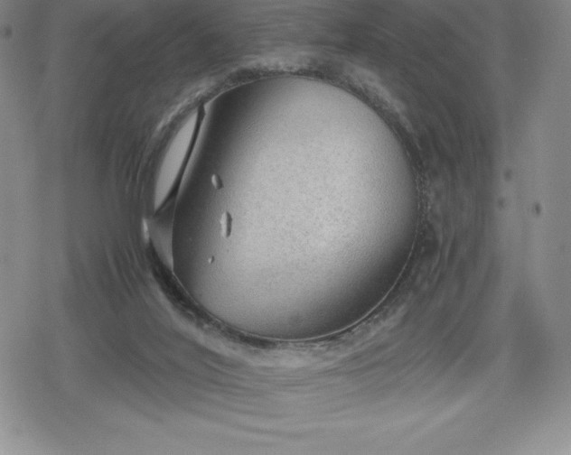 X0000080160020200612221237