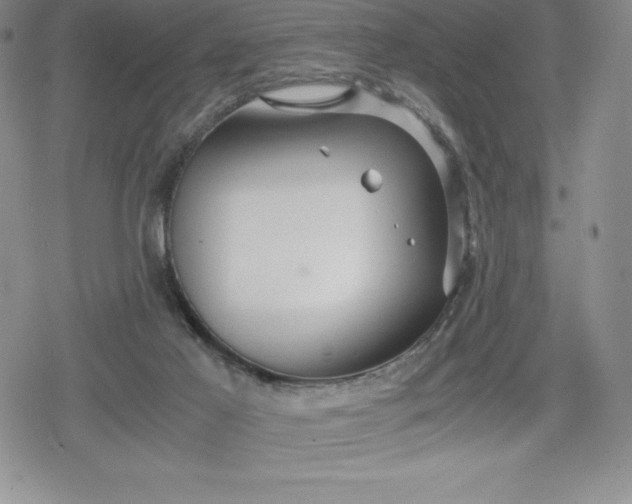 X0000080160021200612221237