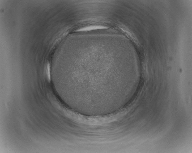 X0000080160022200612221237