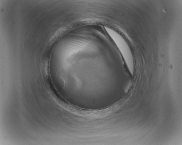 X0000080160023200612221237