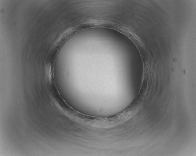 X0000080160024200612221237