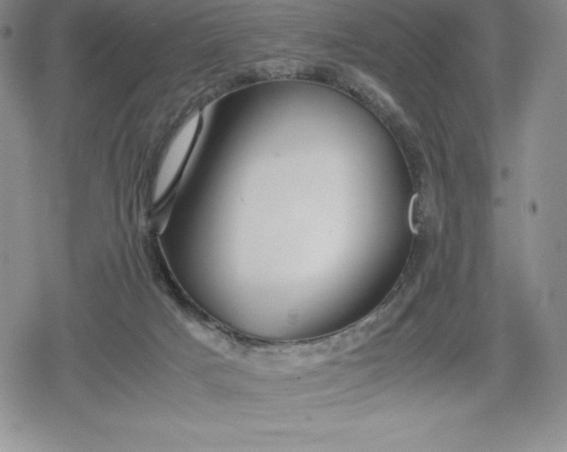 X0000080160025200612221237