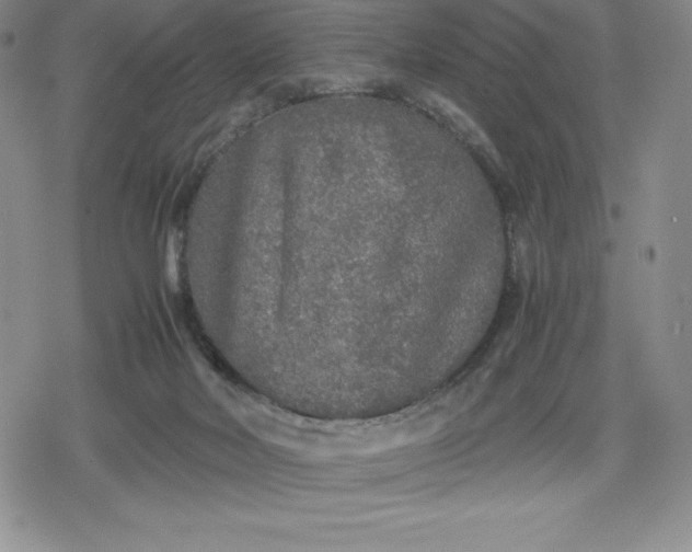 X0000080160026200612221237