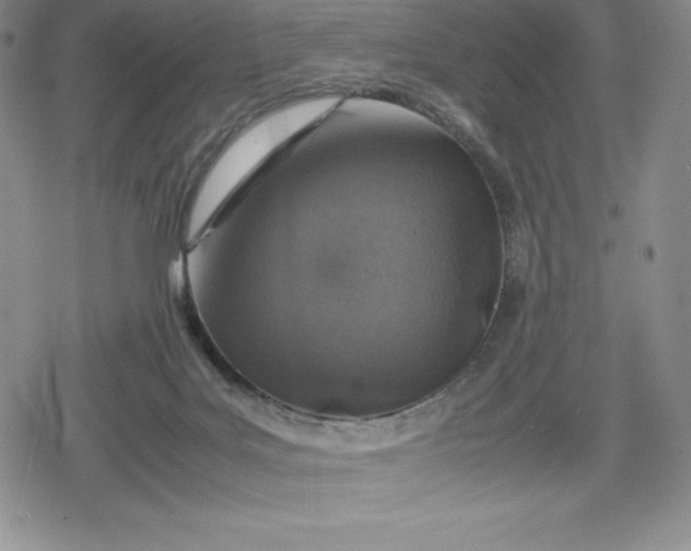 X0000080160027200612221237