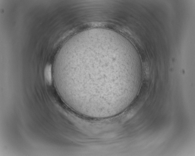 X0000080160028200612221237