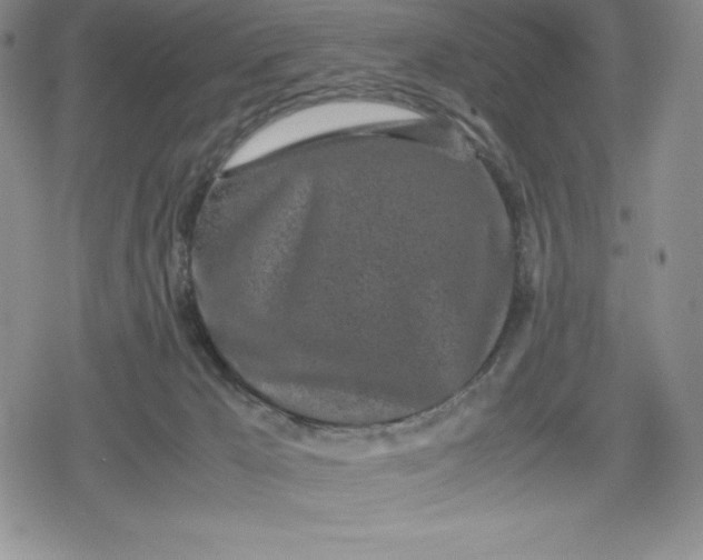 X0000080160029200612221237