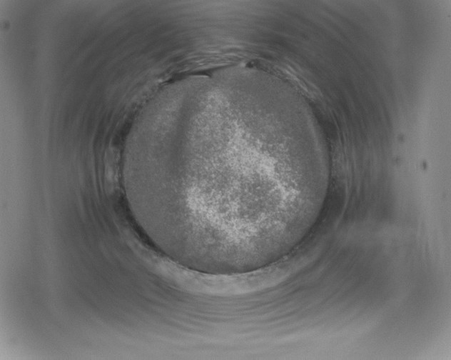 X0000080160030200612221237