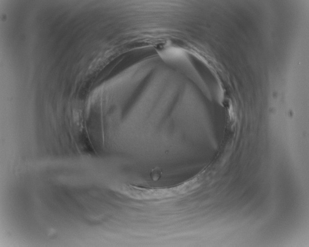 X0000080160031200612221237