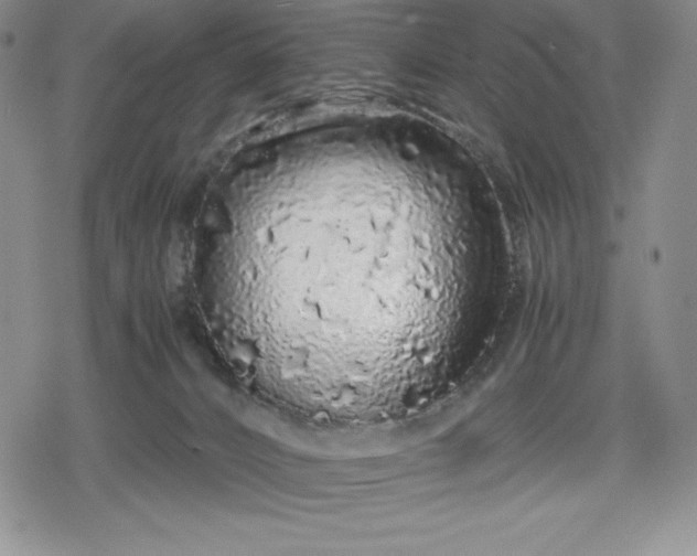 X0000080160032200612221237