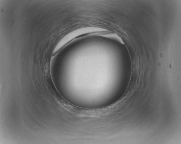 X0000080160033200612221237