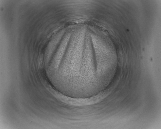 X0000080160034200612221237