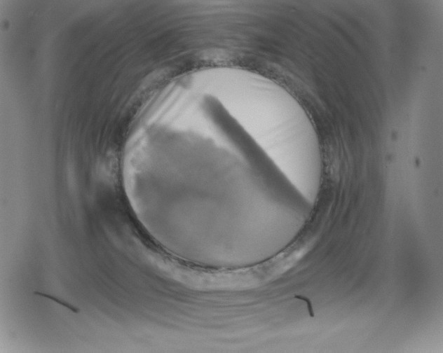 X0000080160036200612221237