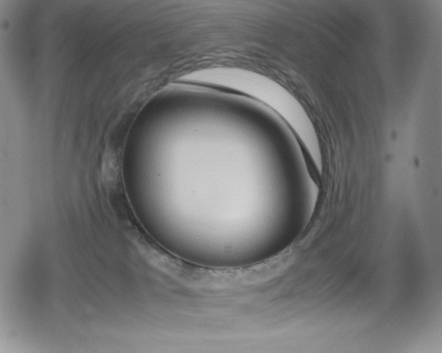 X0000080160037200612221237