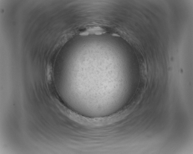 X0000080160038200612221237