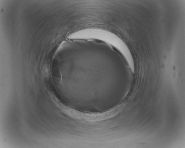 X0000080160039200612221237