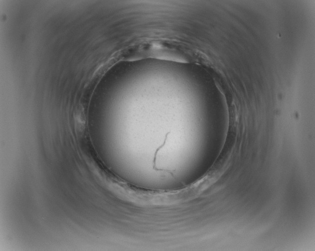 X0000080160040200612221237