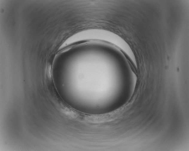 X0000080160041200612221237