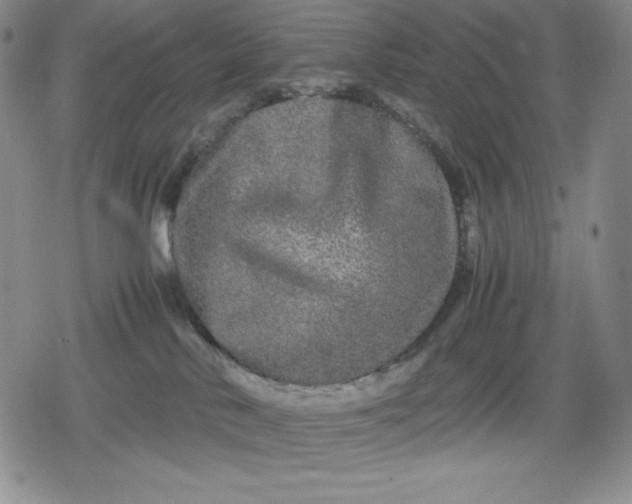 X0000080160042200612221237