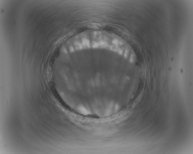 X0000080160043200612221237