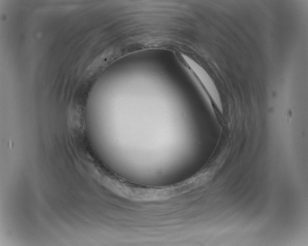 X0000080160044200612221237