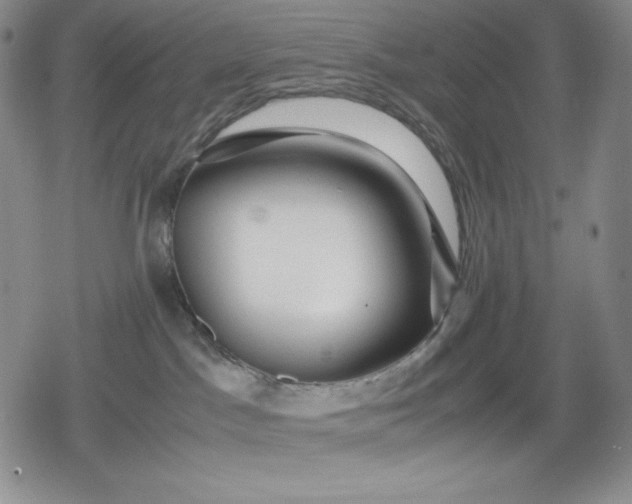 X0000080160045200612221237