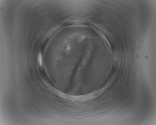 X0000080160046200612221237