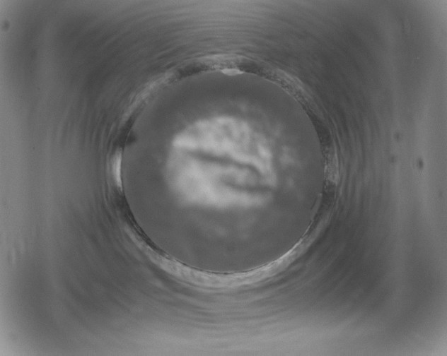 X0000080160047200612221237