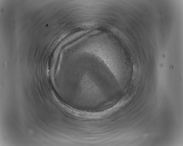 X0000080160048200612221237