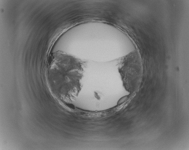 X0000080160049200612221236