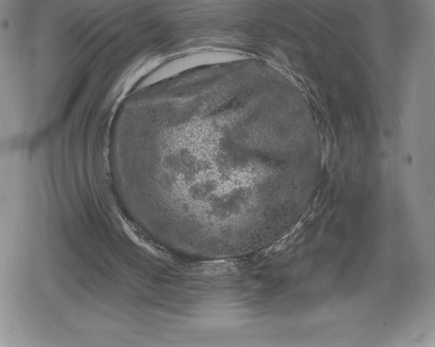 X0000080160050200612221236