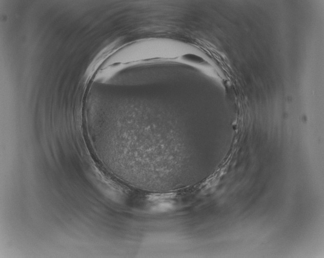 X0000080160051200612221236