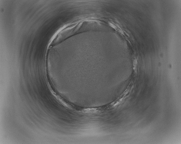 X0000080160052200612221236