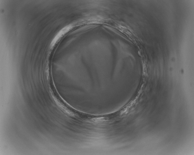 X0000080160054200612221236