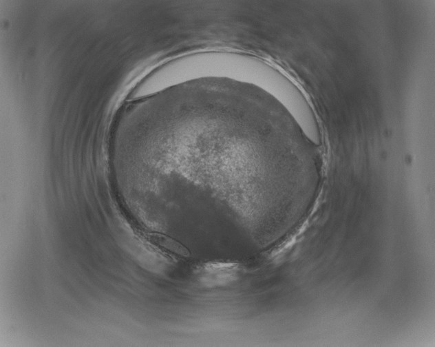 X0000080160055200612221236