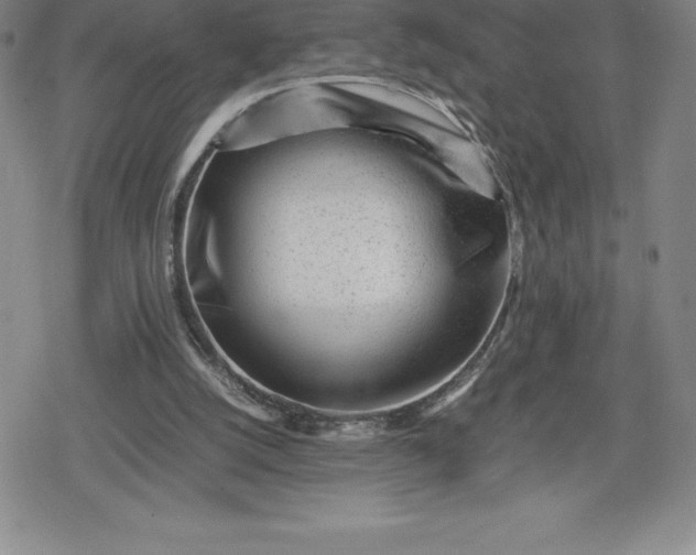 X0000080160056200612221236