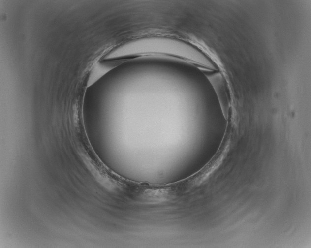 X0000080160057200612221236