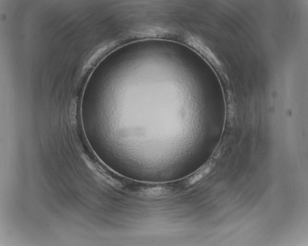 X0000080160058200612221236