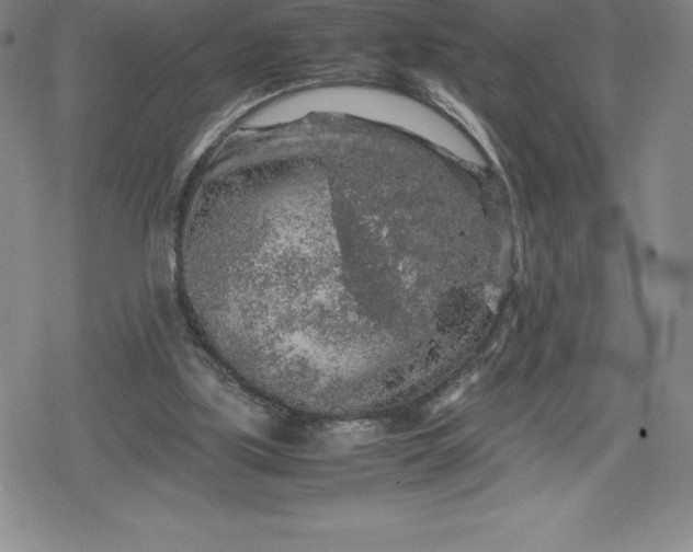 X0000080160059200612221236